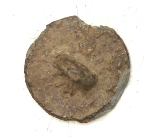 button of 13 Light Regiment