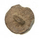 button of 13 Light Regiment
