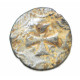 prussian button with Iron Cross