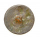 Button of the 1st Saxon Light Regiment of Colonel von Le Coq 19 mm