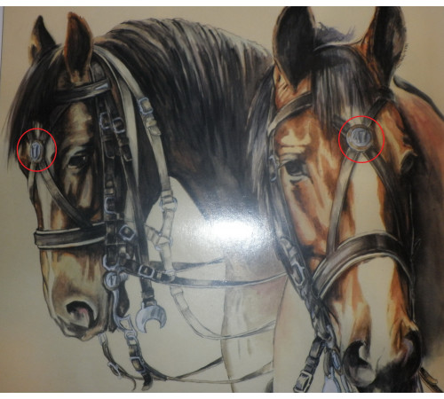 plate from the bridle of a horse of the 11 Hussar Regiment