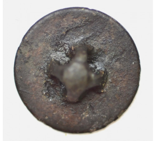 button of 108 Line Regiment