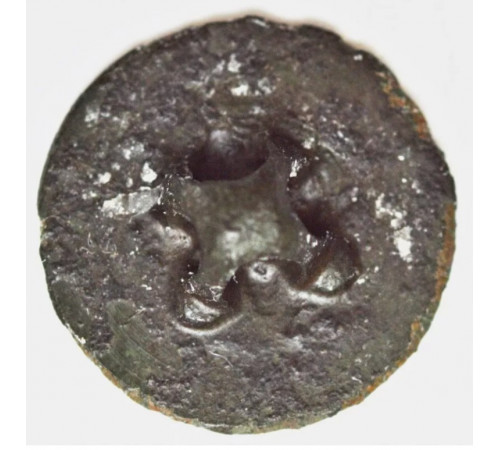 button of 46 Line Regiment