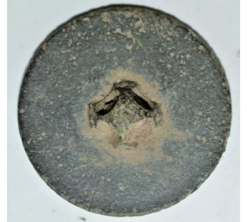 button of 111 (Piedmont)  Line Regiment