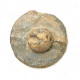 button of 1 Cuirassier Regiment