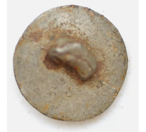 Button of 9 battalion of the Artillery Train