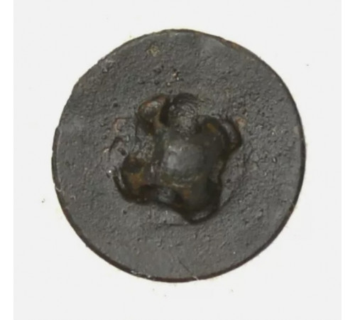 button of 105 Line Regiment