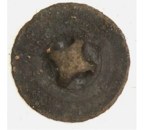 button of 30 Line Regiment