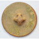 button of 35 Line Regiment
