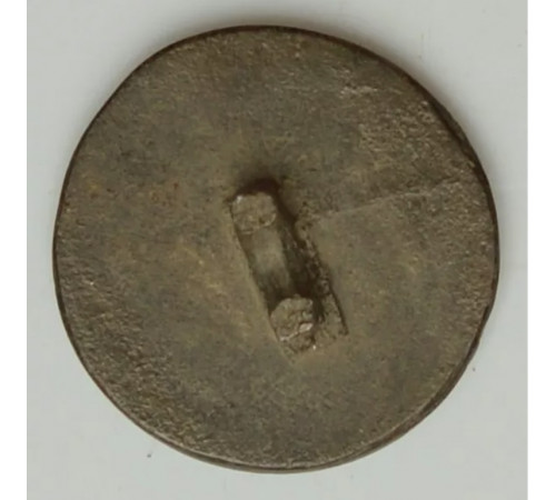 button of the 7 regiment of the Duchy of Warsaw ( Polish)