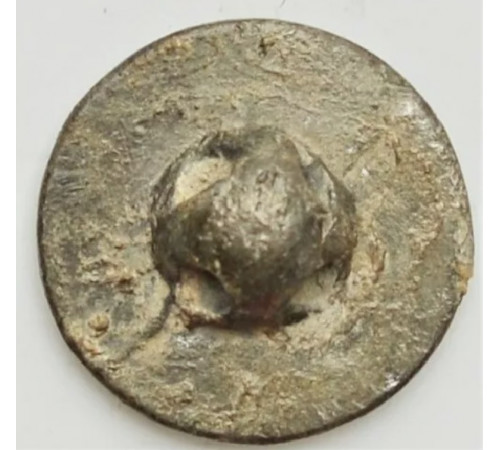 Button of 8 Light Regiment 