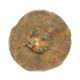 button of 11 Light Regiment