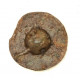 button of 6 Cuirassier Regiment