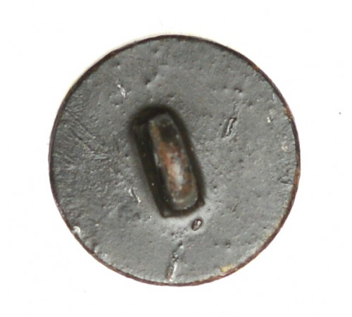 Button of the 6 Infantry Regiment of the Kingdom of Westphalia