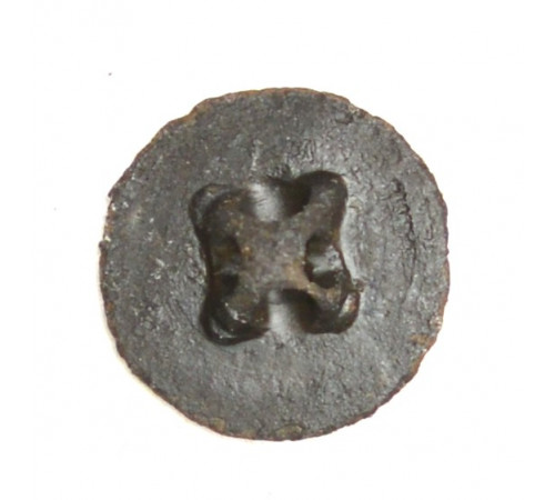 button of 44 Line Regiment
