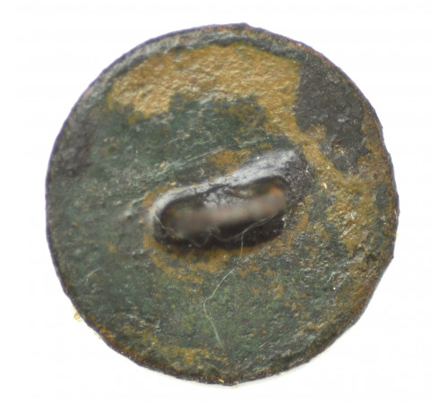 button of the Imperial Guard