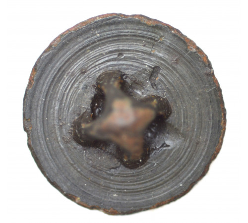 button of 2 Line Regiment