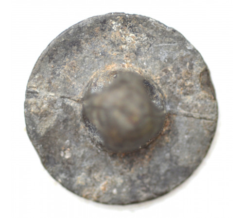 button of Italian Illyrie Regiment