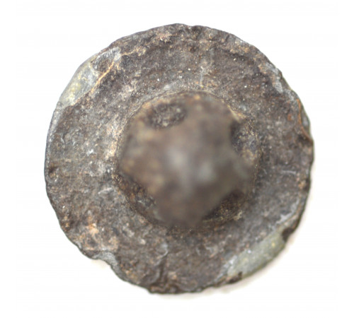 button of Italian Illyrie Regiment