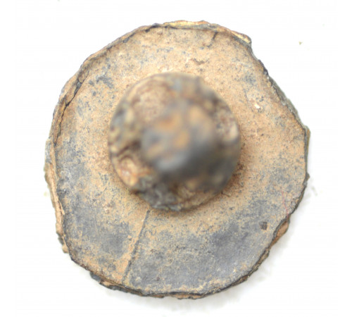 button of 24 Light Regiment