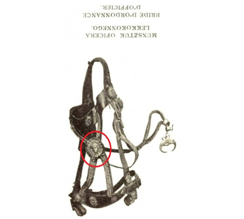variant of decoration of the bridle straps from a horse of a hussar regiment