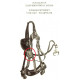 variant of decoration of the bridle straps from a horse of a hussar regiment