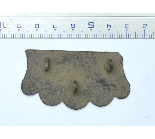 variant of decoration shild with monogram of Napoleon from bandolier of sappers (bear paw)