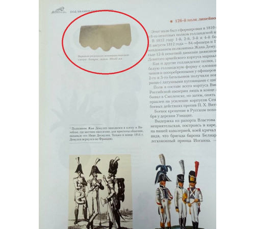 variant of decoration shild with monogram of Napoleon from bandolier of sappers (bear paw)