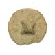 Button of 2 Chevau-léger Regiment
