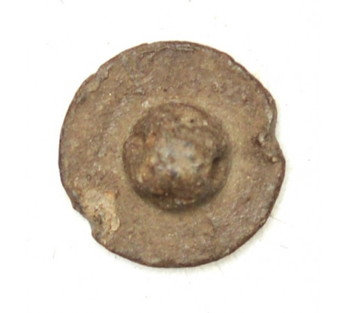 Button of 8 Light Regiment 