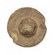 Button of 8 Light Regiment 