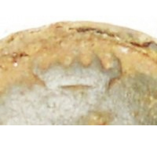 undefined button of the Kingdom of Italy with the Lombard (iron) Crown.