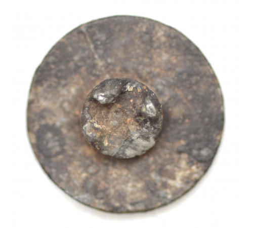 button of 1 Portuguese Legion of the French army